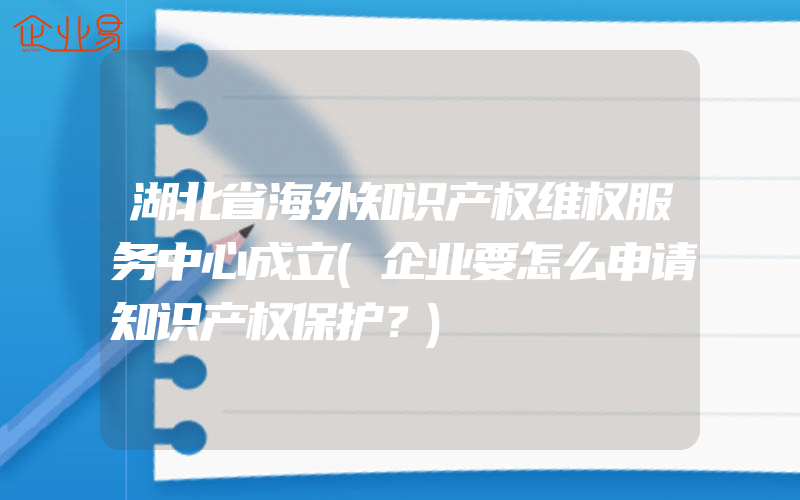 湖北省海外知识产权维权服务中心成立(企业要怎么申请知识产权保护？)