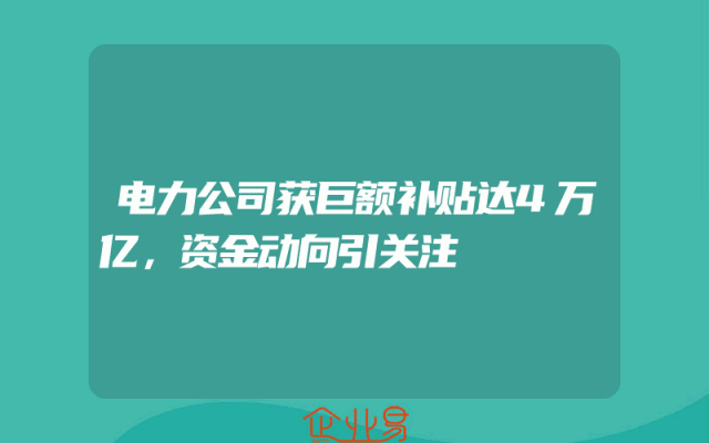 电力公司获巨额补贴达4万亿，资金动向引关注