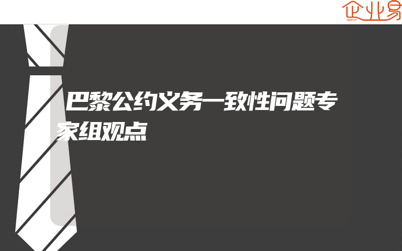 巴黎公约义务一致性问题专家组观点