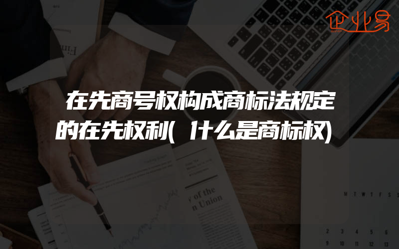 在先商号权构成商标法规定的在先权利(什么是商标权)