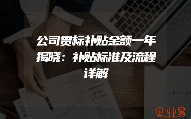 公司贯标补贴金额一年揭晓：补贴标准及流程详解