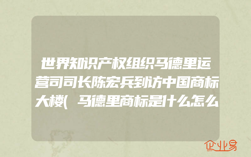 世界知识产权组织马德里运营司司长陈宏兵到访中国商标大楼(马德里商标是什么怎么注册)