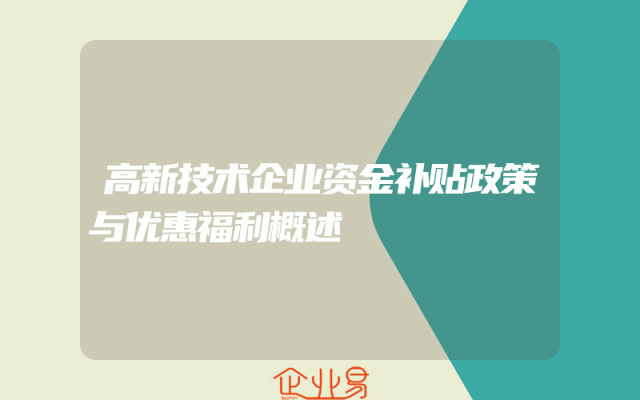 高新技术企业资金补贴政策与优惠福利概述