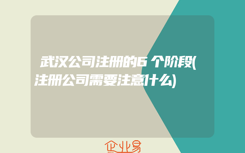 武汉公司注册的6个阶段(注册公司需要注意什么)