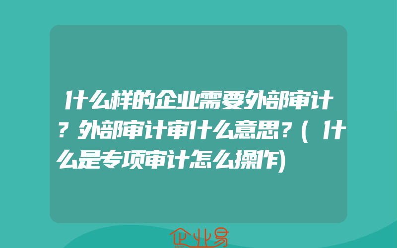 什么样的企业需要外部审计？外部审计审什么意思？(什么是专项审计怎么操作)