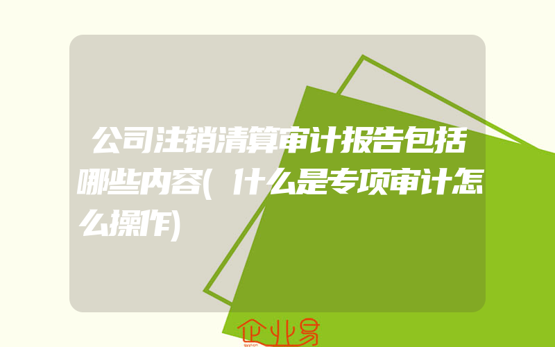 公司注销清算审计报告包括哪些内容(什么是专项审计怎么操作)