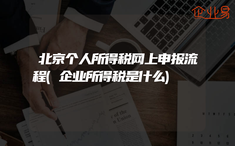 北京个人所得税网上申报流程(企业所得税是什么)