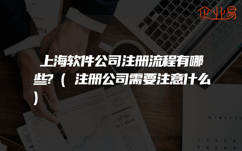 上海软件公司注册流程有哪些?(注册公司需要注意什么)