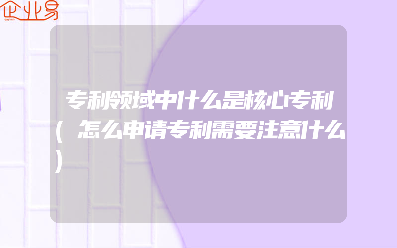 专利领域中什么是核心专利(怎么申请专利需要注意什么)