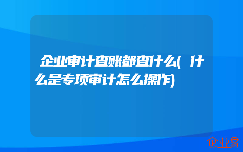 企业审计查账都查什么(什么是专项审计怎么操作)