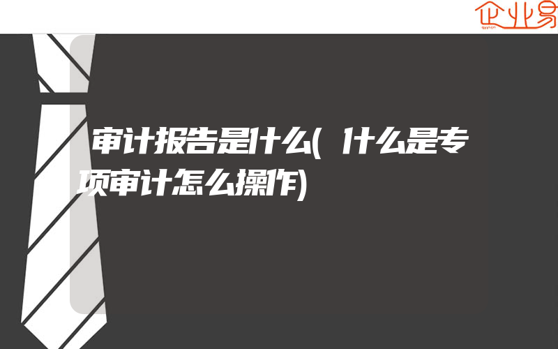 审计报告是什么(什么是专项审计怎么操作)