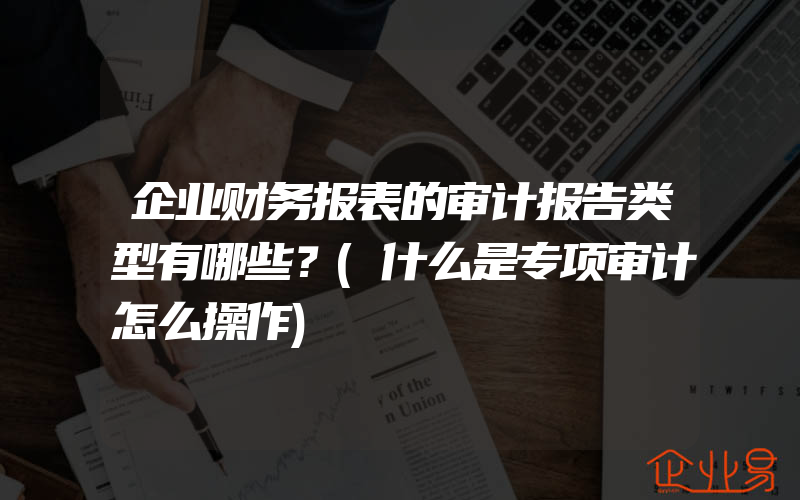 企业财务报表的审计报告类型有哪些？(什么是专项审计怎么操作)