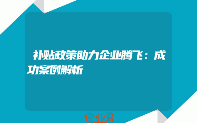补贴政策助力企业腾飞：成功案例解析