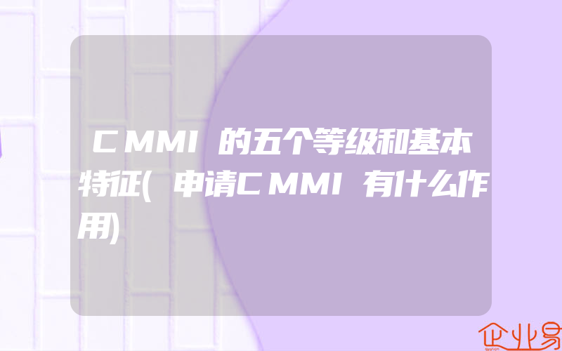 CMMI的五个等级和基本特征(申请CMMI有什么作用)