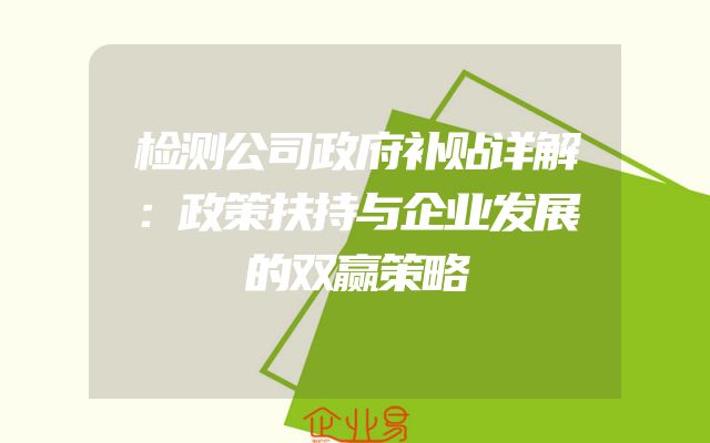 检测公司政府补贴详解：政策扶持与企业发展的双赢策略