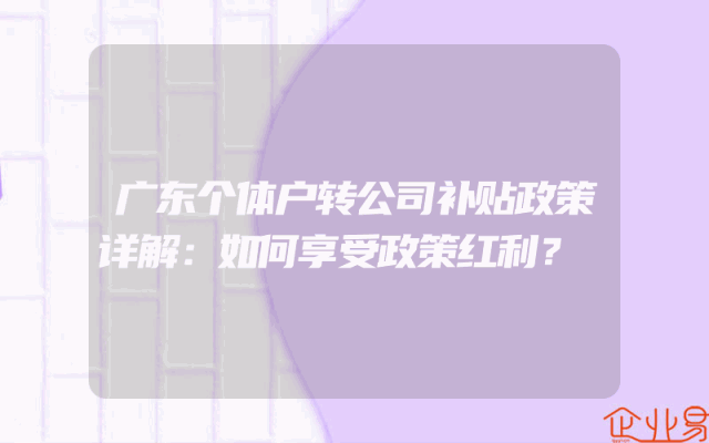 广东个体户转公司补贴政策详解：如何享受政策红利？