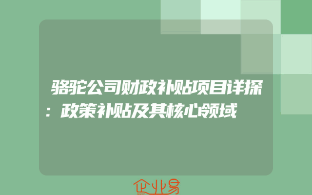 骆驼公司财政补贴项目详探：政策补贴及其核心领域