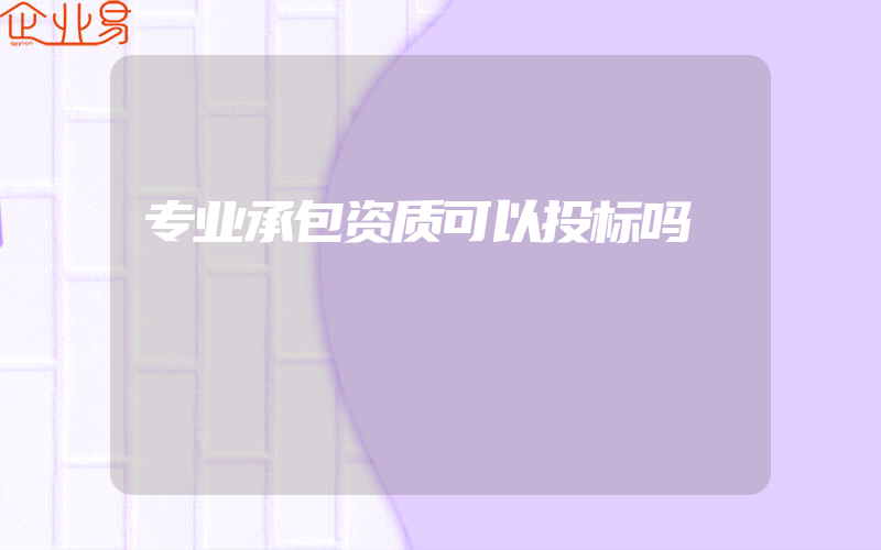 专业承包资质可以投标吗