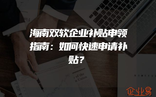海南双软企业补贴申领指南：如何快速申请补贴？