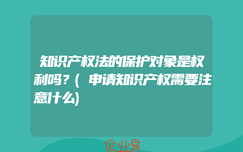 知识产权法的保护对象是权利吗？(申请知识产权需要注意什么)