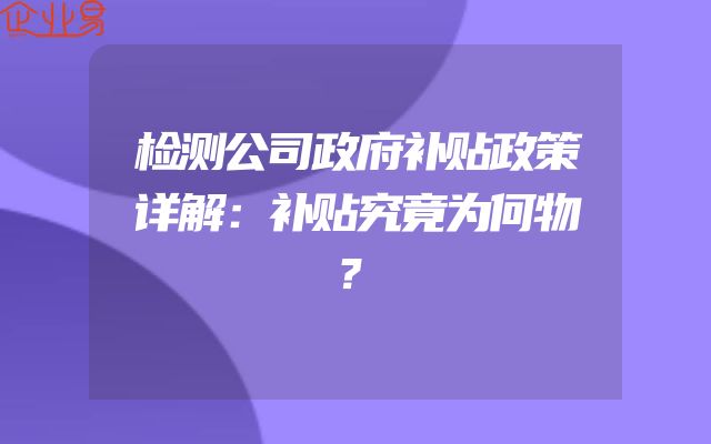 检测公司政府补贴政策详解：补贴究竟为何物？