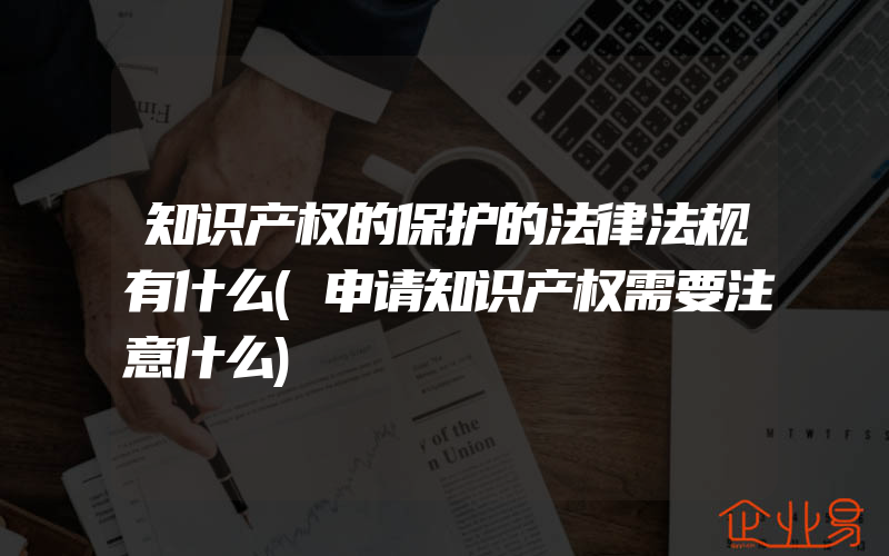 知识产权的保护的法律法规有什么(申请知识产权需要注意什么)