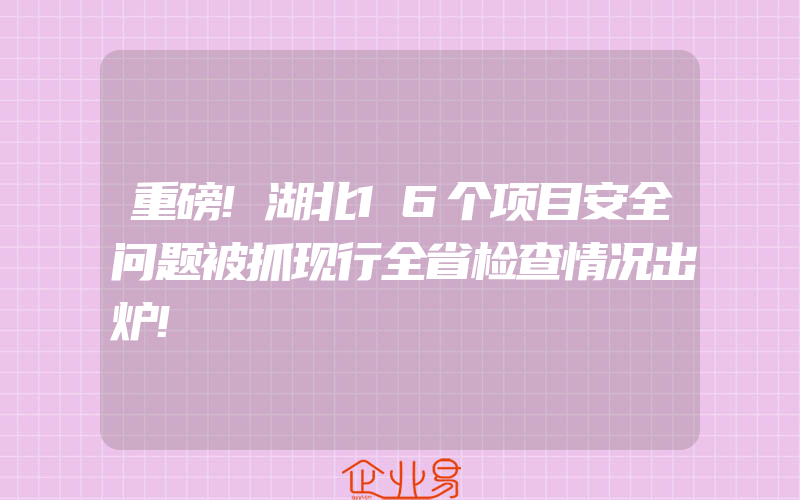 重磅!湖北16个项目安全问题被抓现行全省检查情况出炉!