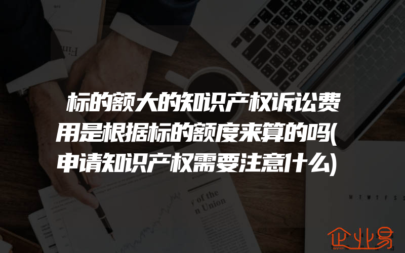 标的额大的知识产权诉讼费用是根据标的额度来算的吗(申请知识产权需要注意什么)