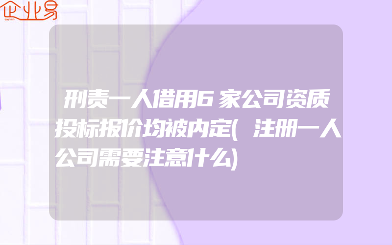 刑责一人借用6家公司资质投标报价均被内定(注册一人公司需要注意什么)