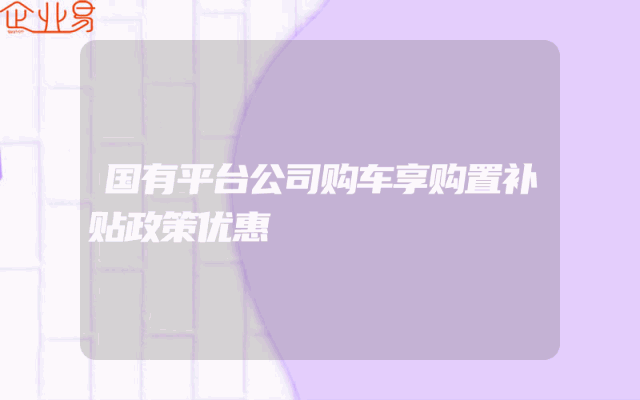 国有平台公司购车享购置补贴政策优惠