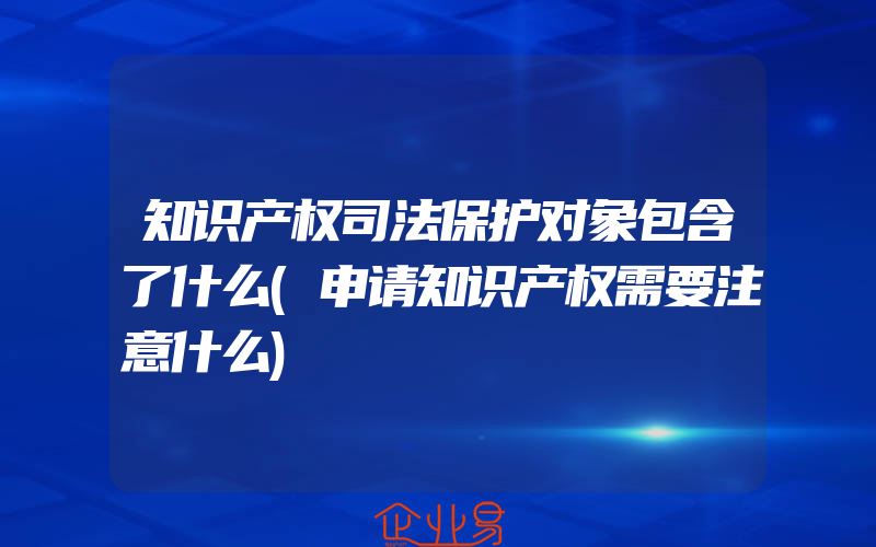 知识产权司法保护对象包含了什么(申请知识产权需要注意什么)