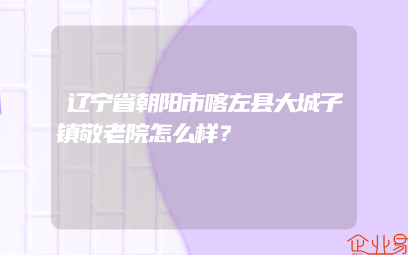 辽宁省朝阳市喀左县大城子镇敬老院怎么样？