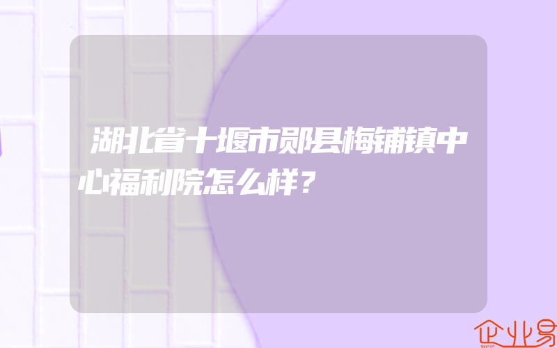 湖北省十堰市郧县梅铺镇中心福利院怎么样？