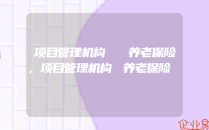 项目管理机构  养老保险,项目管理机构 养老保险