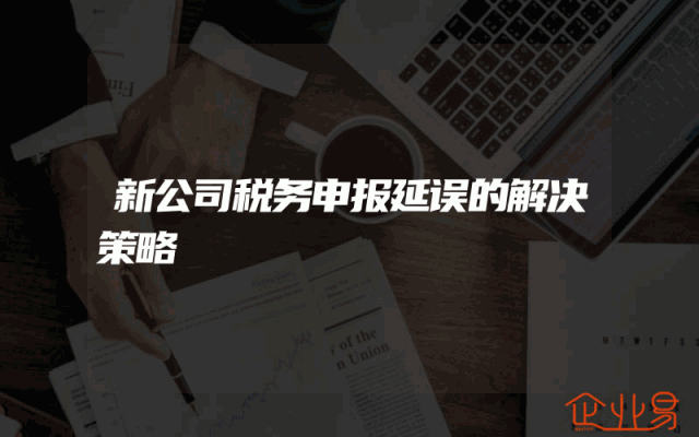 新公司税务申报延误的解决策略