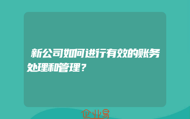 新公司如何进行有效的账务处理和管理？