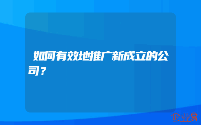 如何有效地推广新成立的公司？