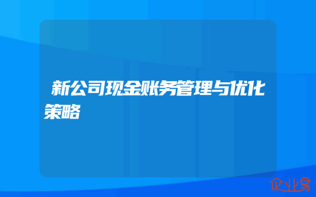 新公司现金账务管理与优化策略