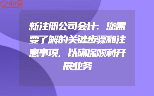 新注册公司会计:您需要了解的关键步骤和注意事项,以确保顺利开展业务