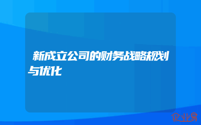 新成立公司的财务战略规划与优化