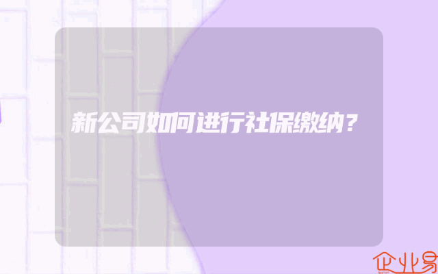 新公司如何进行社保缴纳？