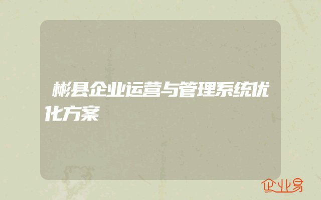 彬县企业运营与管理系统优化方案