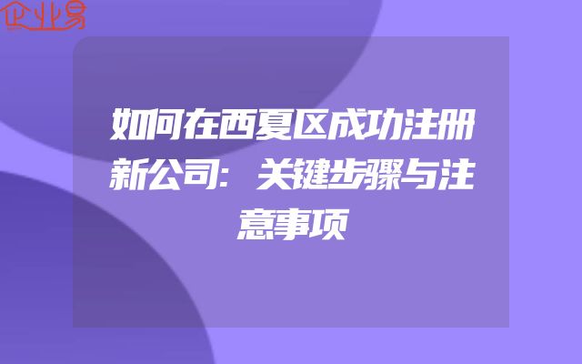 如何在西夏区成功注册新公司:关键步骤与注意事项