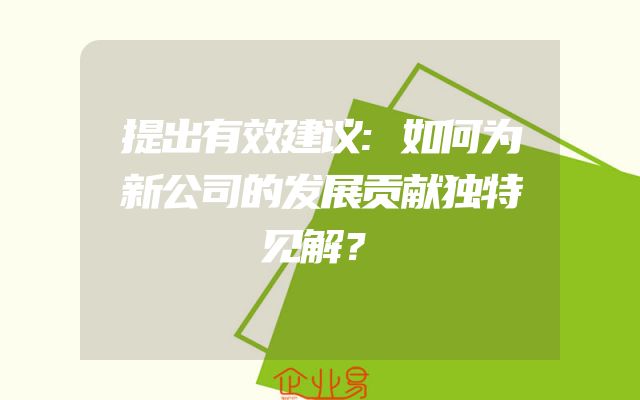 提出有效建议:如何为新公司的发展贡献独特见解？