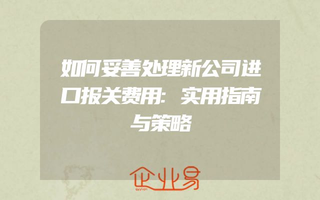如何妥善处理新公司进口报关费用:实用指南与策略