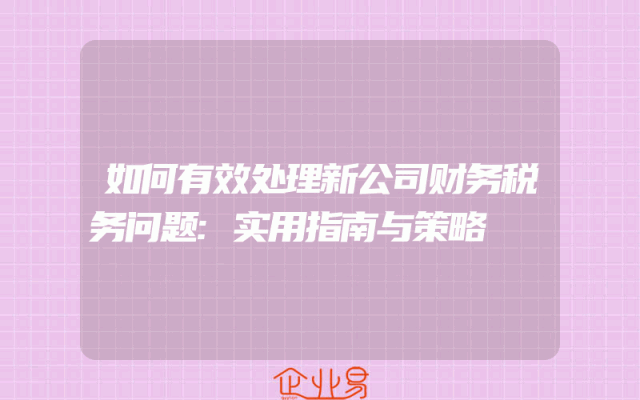 如何有效处理新公司财务税务问题:实用指南与策略