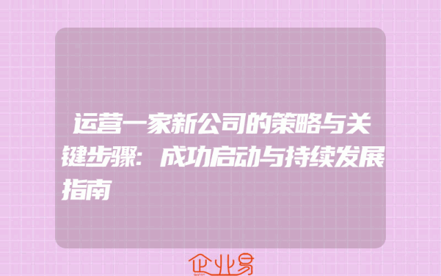 运营一家新公司的策略与关键步骤:成功启动与持续发展指南