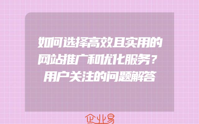 如何选择高效且实用的网站推广和优化服务？用户关注的问题解答