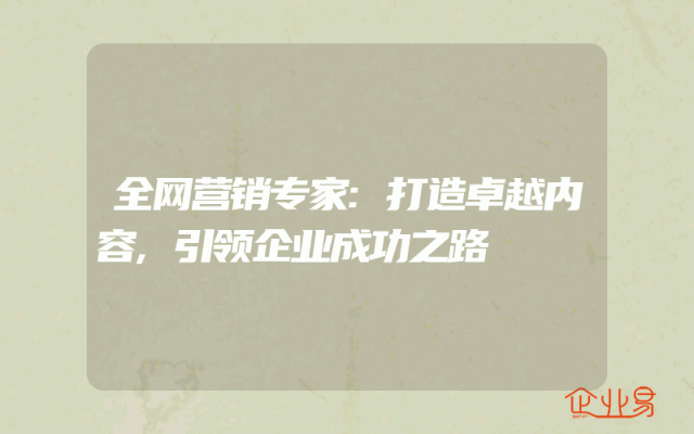 全网营销专家:打造卓越内容,引领企业成功之路