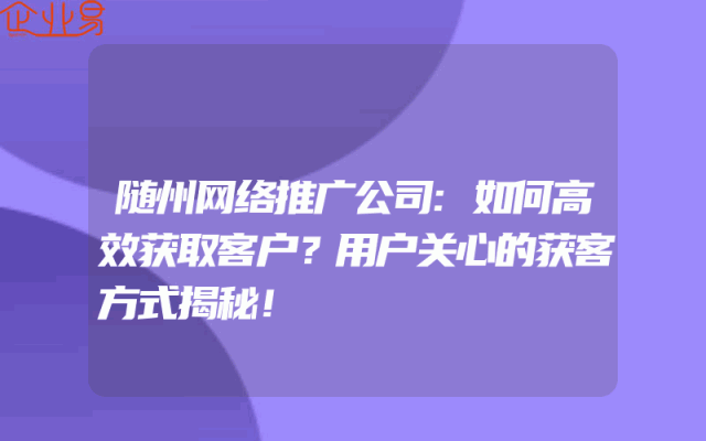 随州网络推广公司:如何高效获取客户?用户关心的获客方式揭秘!